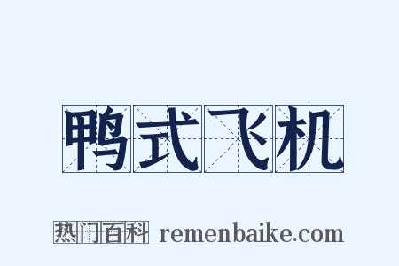 鸭式飞机是什么意思的图片